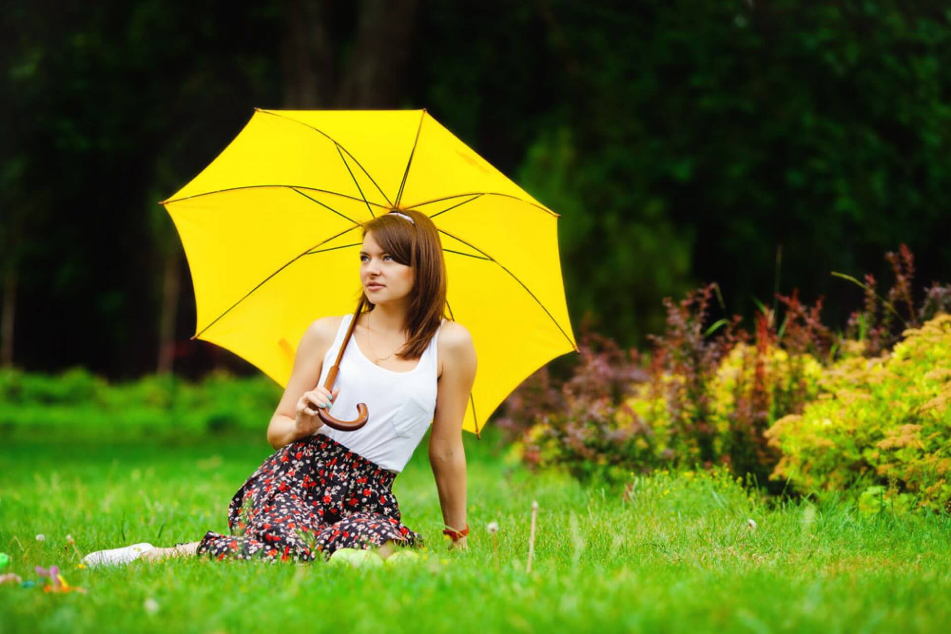 Services umbrellas supplier rain  umbrellas SP umbrella 